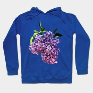 Lilacs - Delicate Pink Lilacs Hoodie